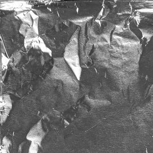 Meet your Posher, Maggie